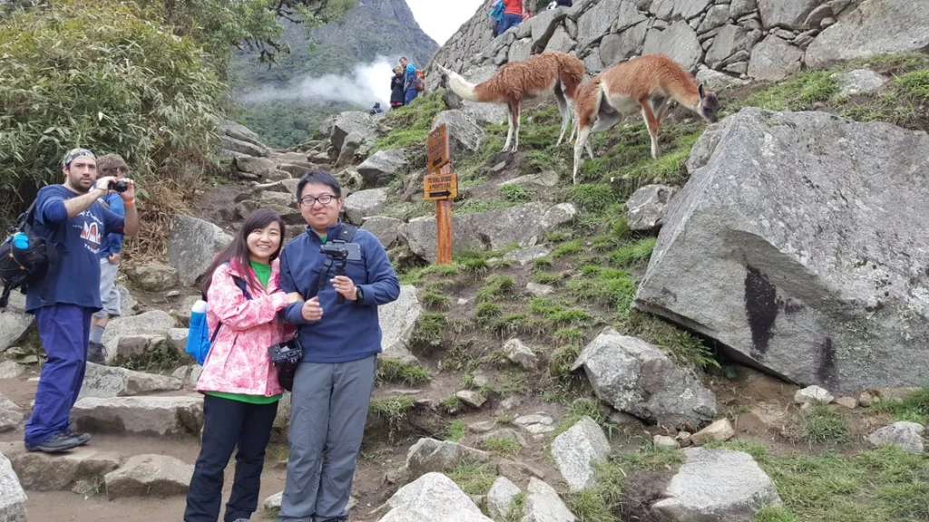 Couple happy at Machupicchu