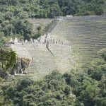 Inca trail short Winaywayna