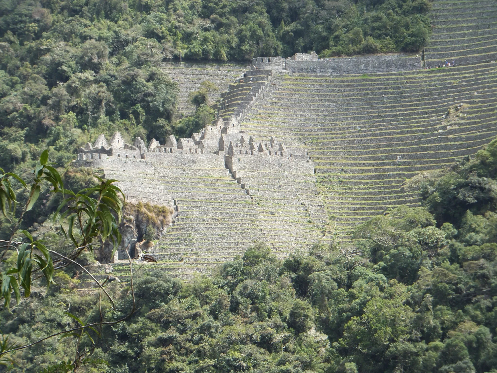Inca trail short - Wiñaywayna