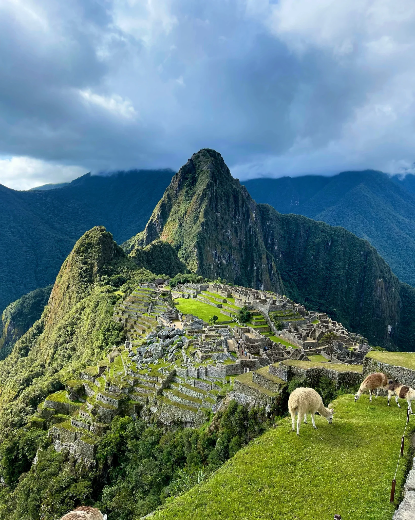 Machupicchu and llama classic
