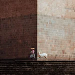 Cusco roots